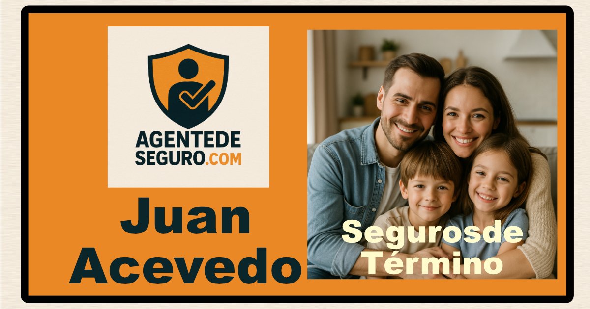 imagen-seguros-de-termino